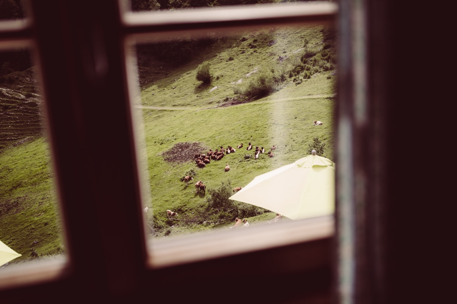 Hochzeitsfotograf_Geigelstein_Berghochzeit_Wuhrsteinalm25