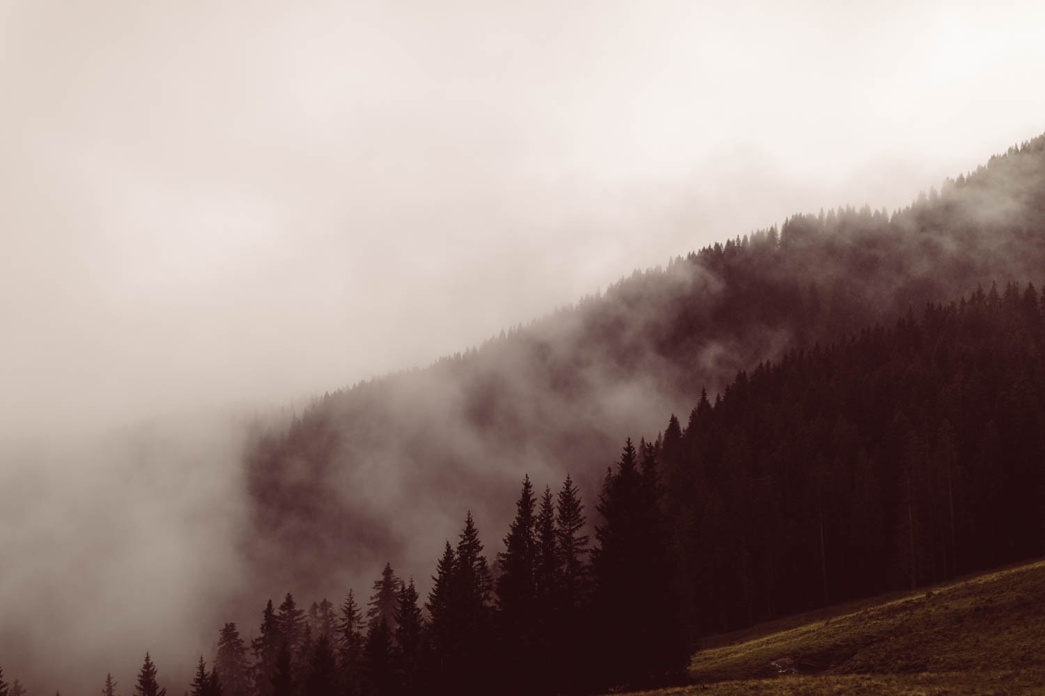 Berghochzeit_Allg&auml;u_Elopement_F&uuml;ssen_81