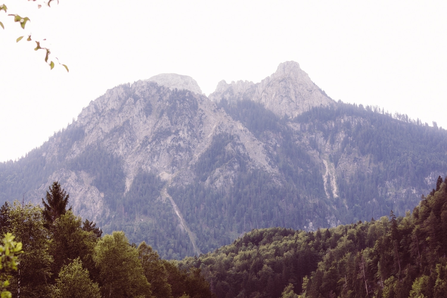 Berghochzeit_Elopement_Allg&auml;u_21