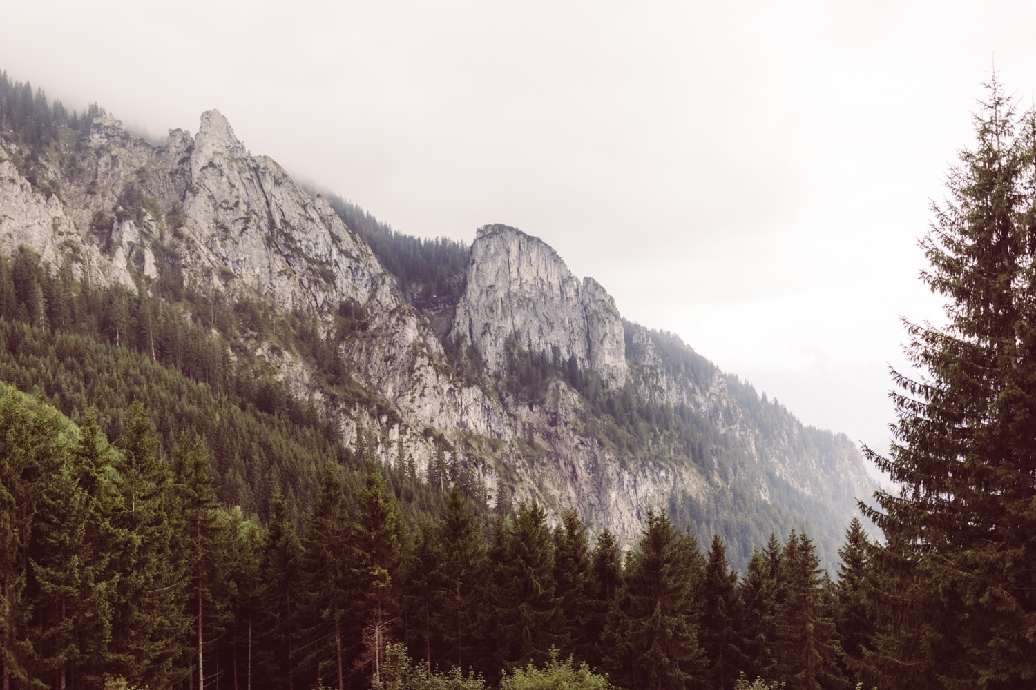 Berghochzeit_Elopement_Allg&auml;u_46