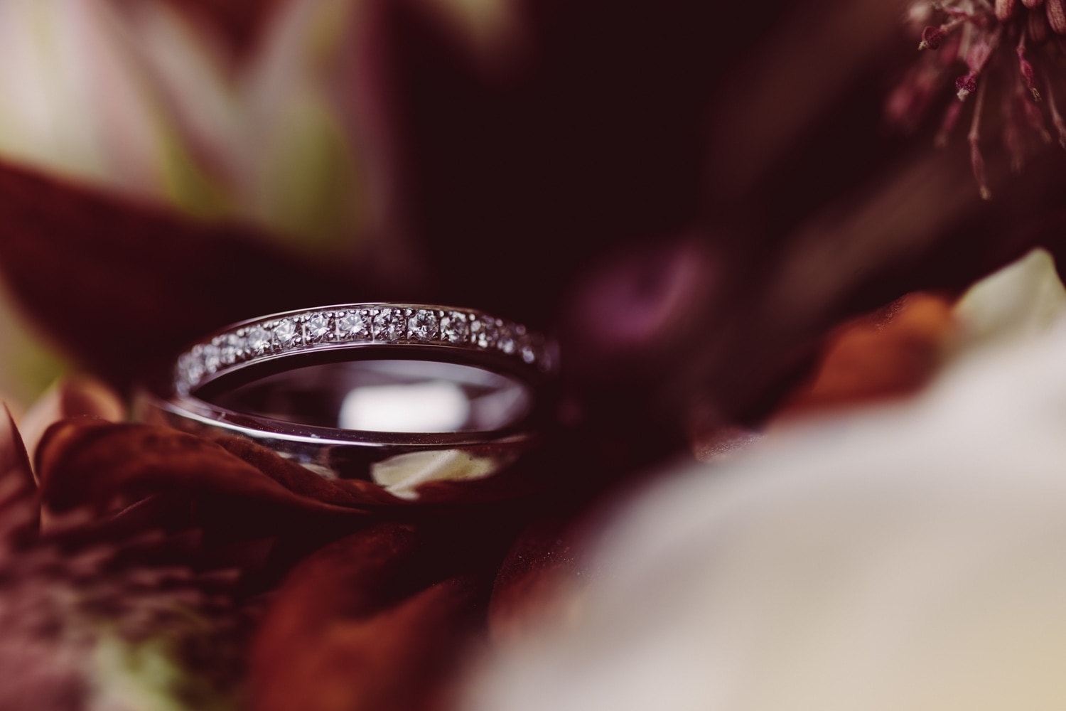 Berghochzeit_Elopement_Allg&auml;u_49