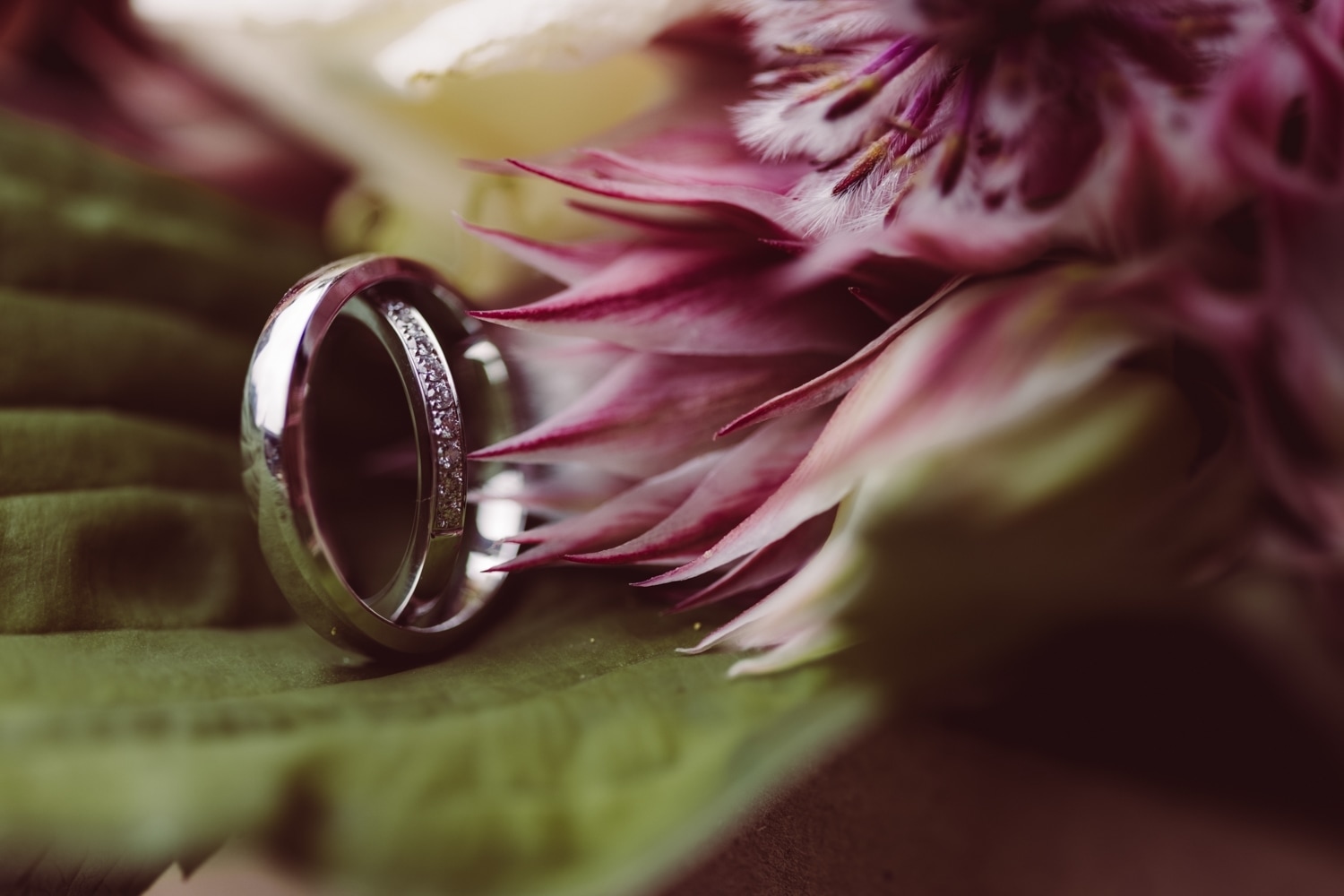 Berghochzeit_Elopement_Allg&auml;u_50