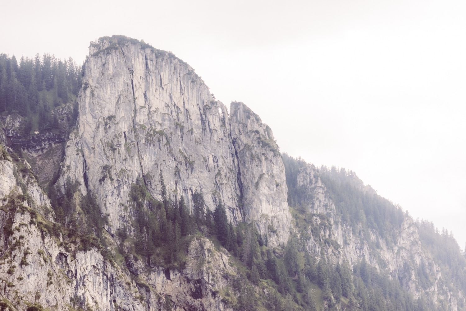 Berghochzeit_Elopement_Allg&auml;u_53