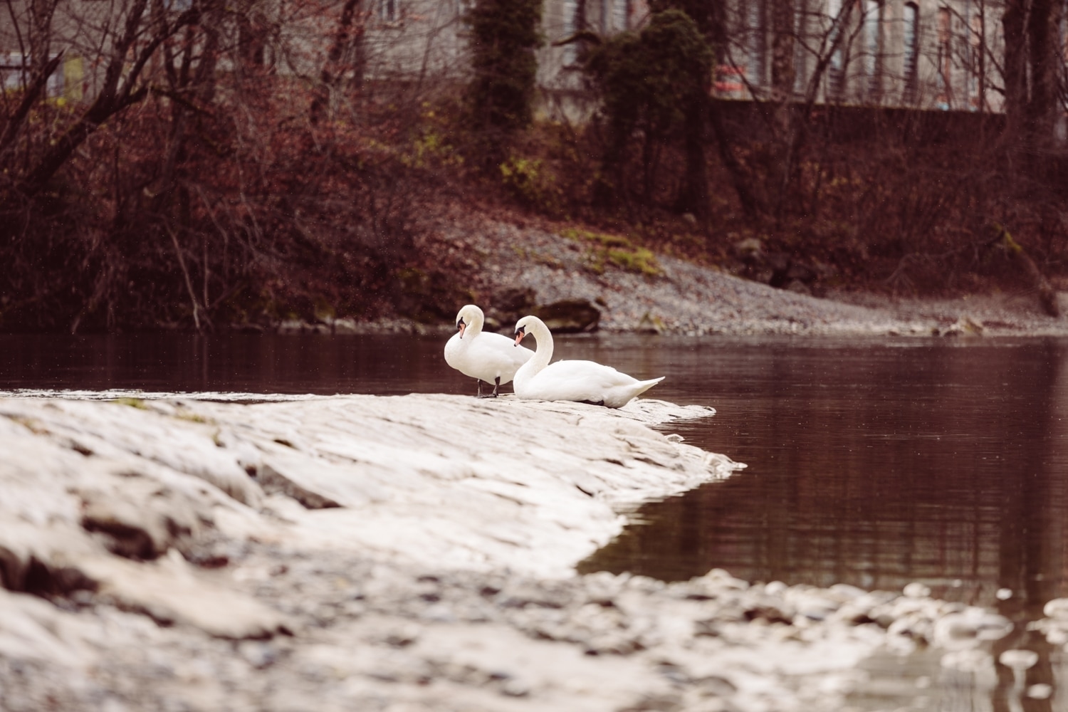 Hochzeitsfotografin_F&uuml;ssen_83