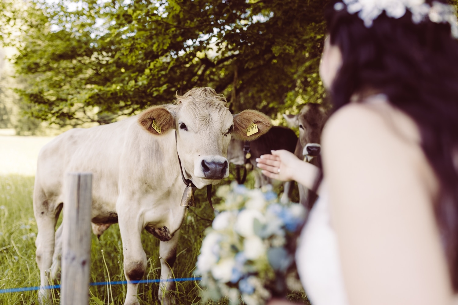 Elopement-Fotografin_Füssen_Berghochzeit_Allgäu_30