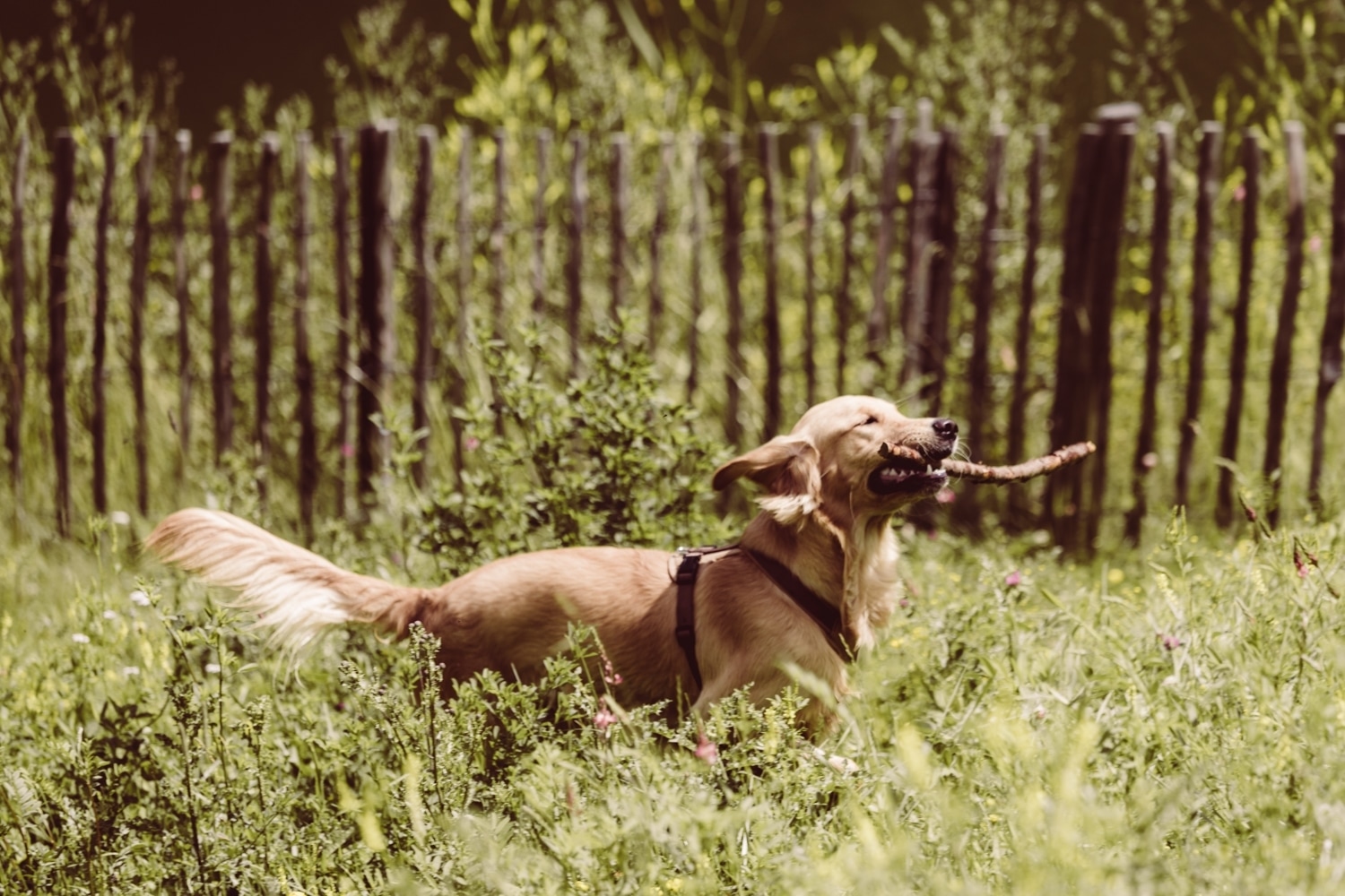 Hochzeitsfotografin_Kasermandlalm_Elbigenalp_84