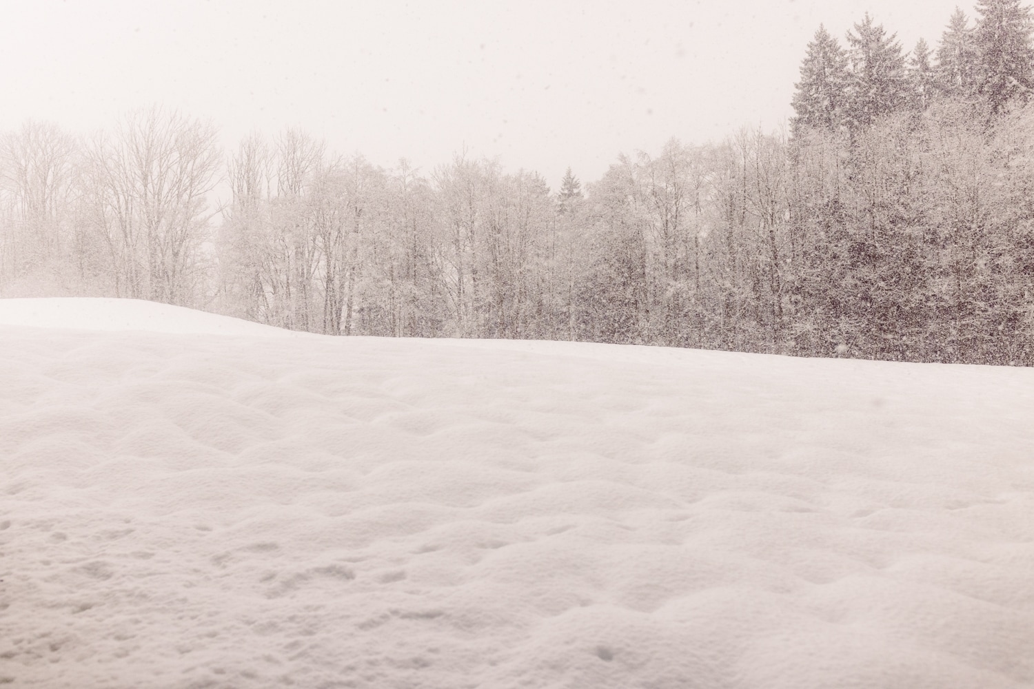 Elopement_Allg&auml;u_Heiratenzuzweit_Oberstdorf-122