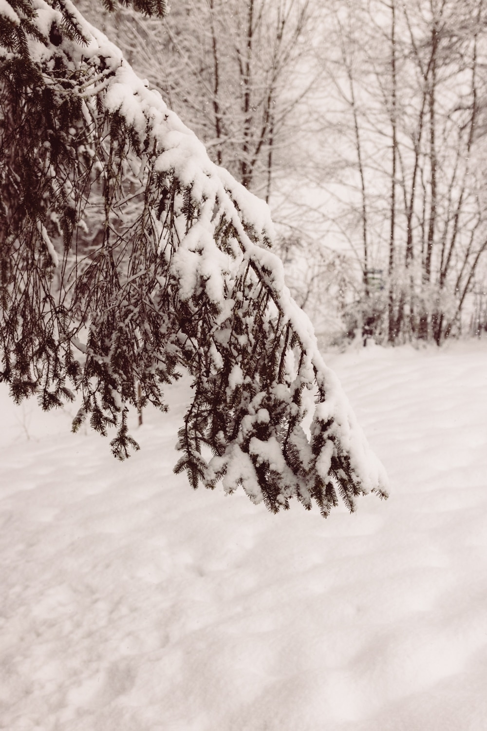 Elopement_Allg&auml;u_Heiratenzuzweit_Oberstdorf-123