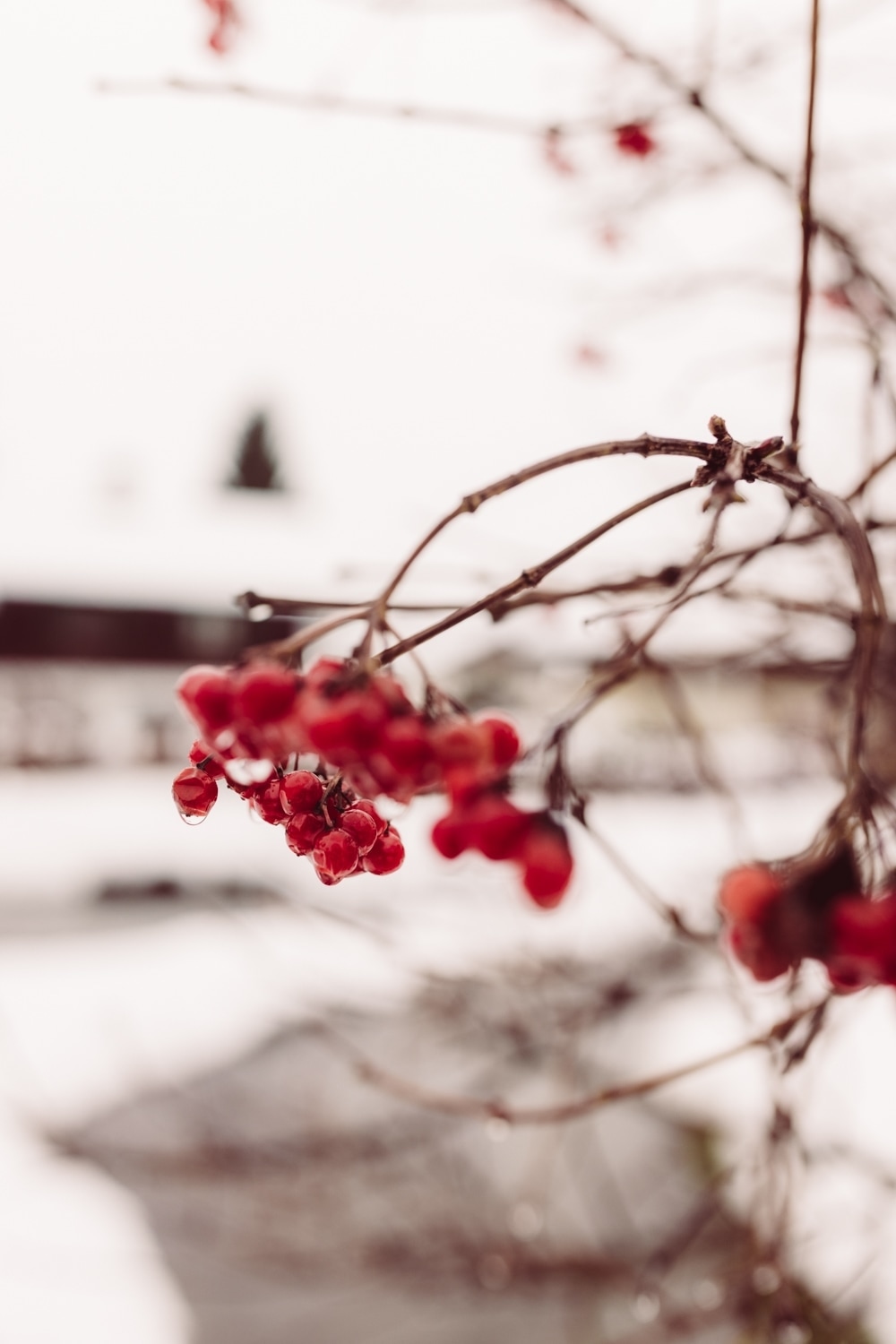 Elopement_Allg&auml;u_Heiratenzuzweit_Oberstdorf-28