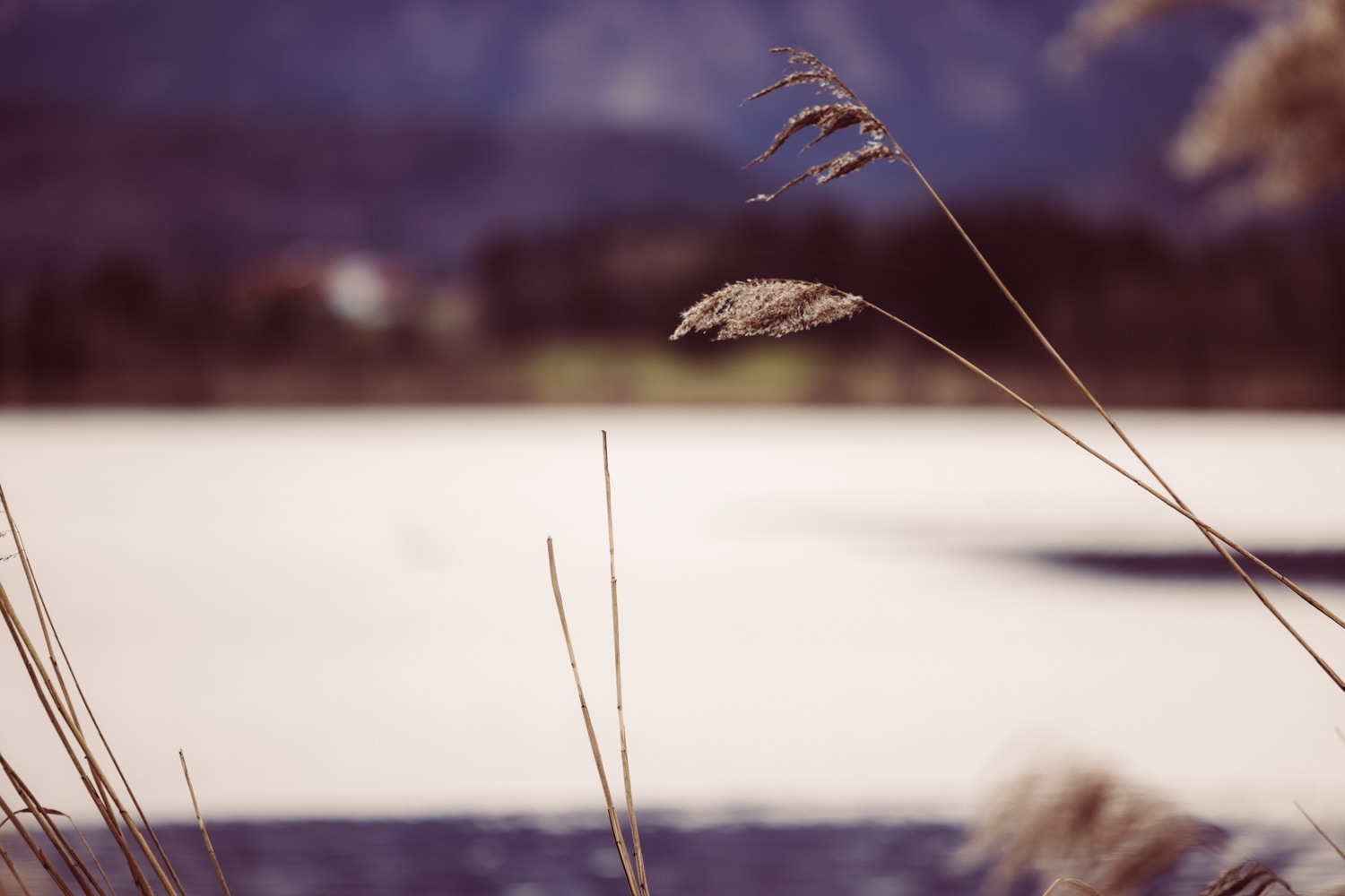 Elopement_F&uuml;ssen_Heiraten-zu-zweit-116