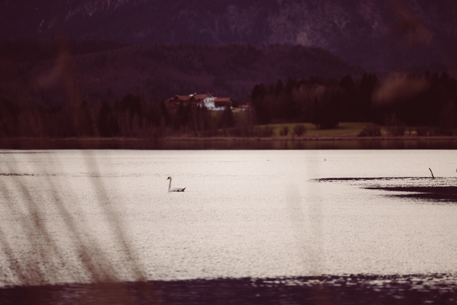 Elopement_F&uuml;ssen_Heiraten-zu-zweit-117