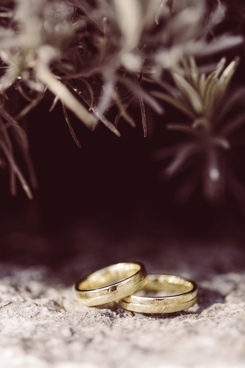 Elopement_F&uuml;ssen_Heiraten-zu-zweit-98