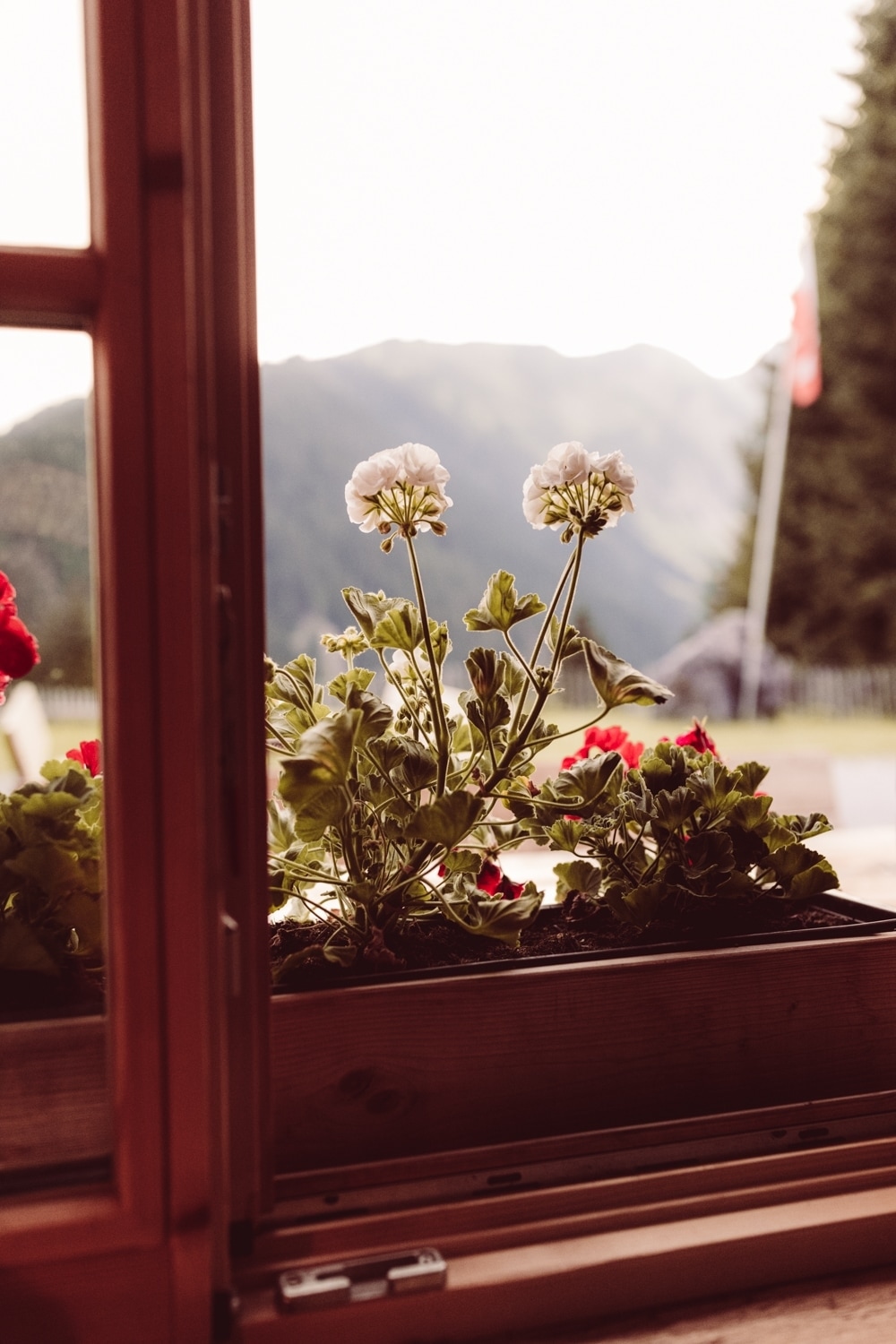Hochzeitsfotografin_Berghochzeit_&Ouml;sterreich_Tirol-122