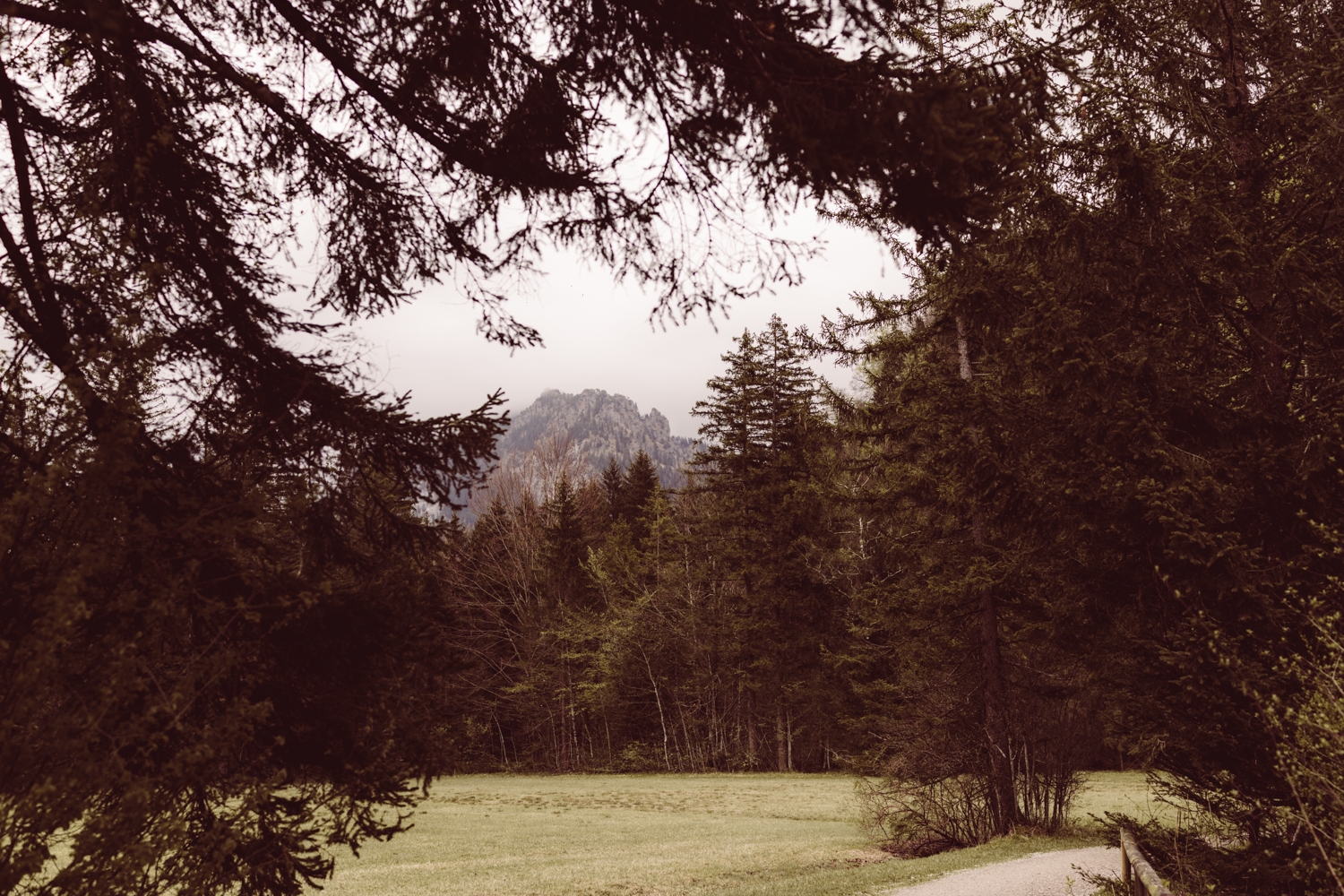 Heiraten_zu_zweit_Füssen_Fotografin_63