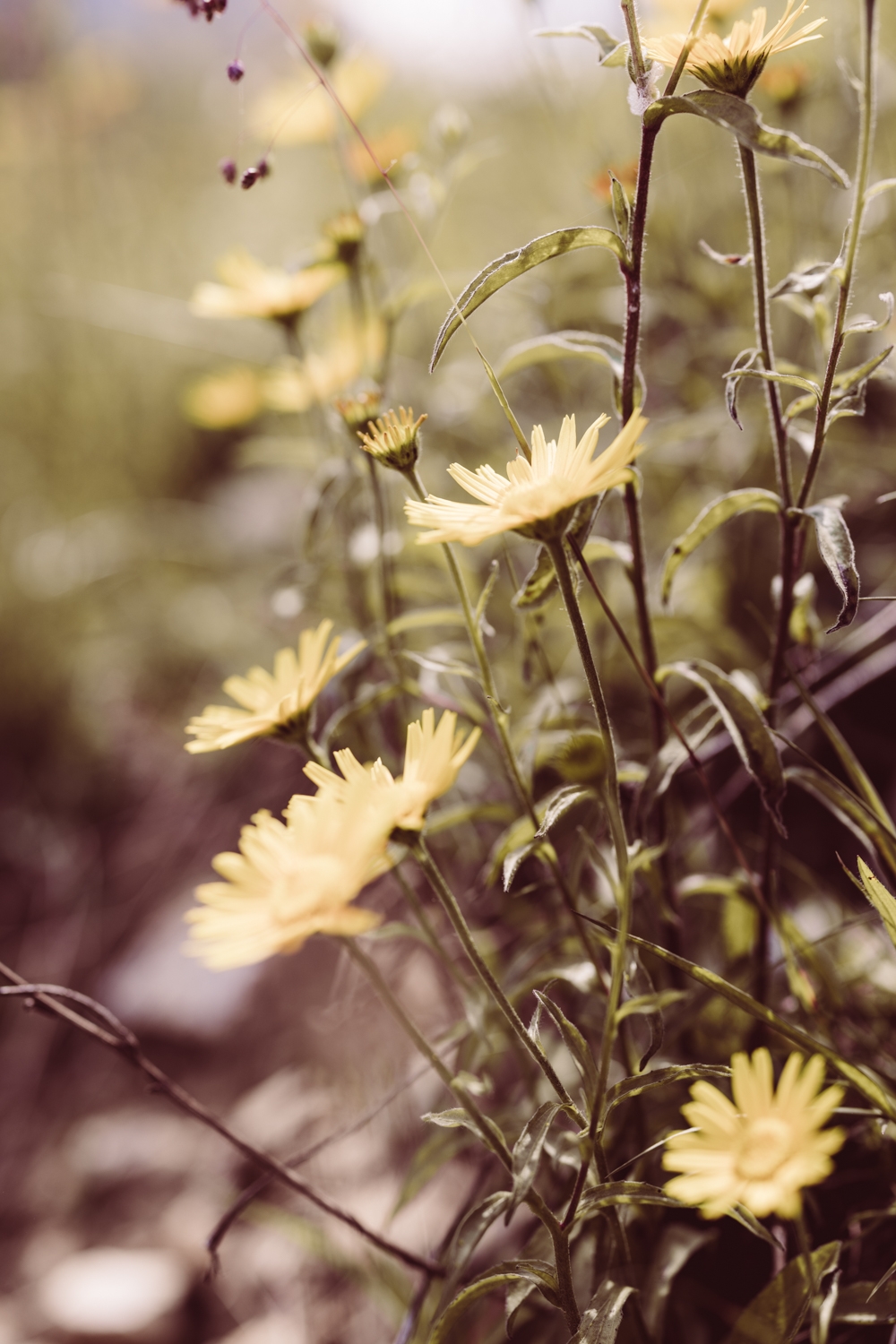 Hochzeitsfotografin_Allgäu_Breitenberg_110