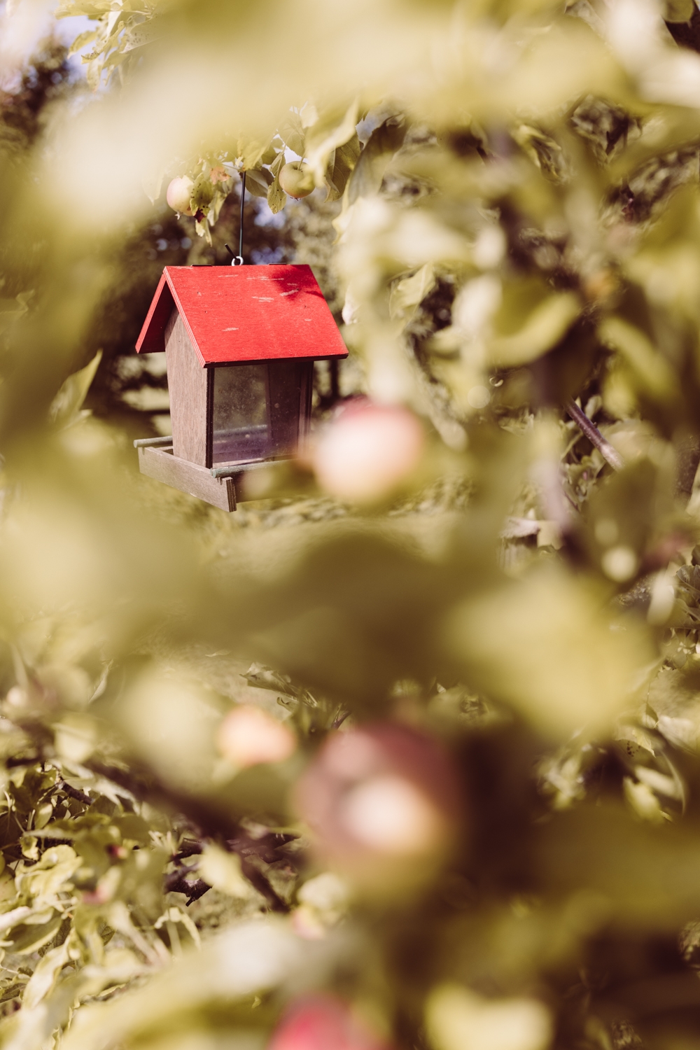 Hochzeitsfotografin_Wangen-im-Allgäu_Windhäusern5-7