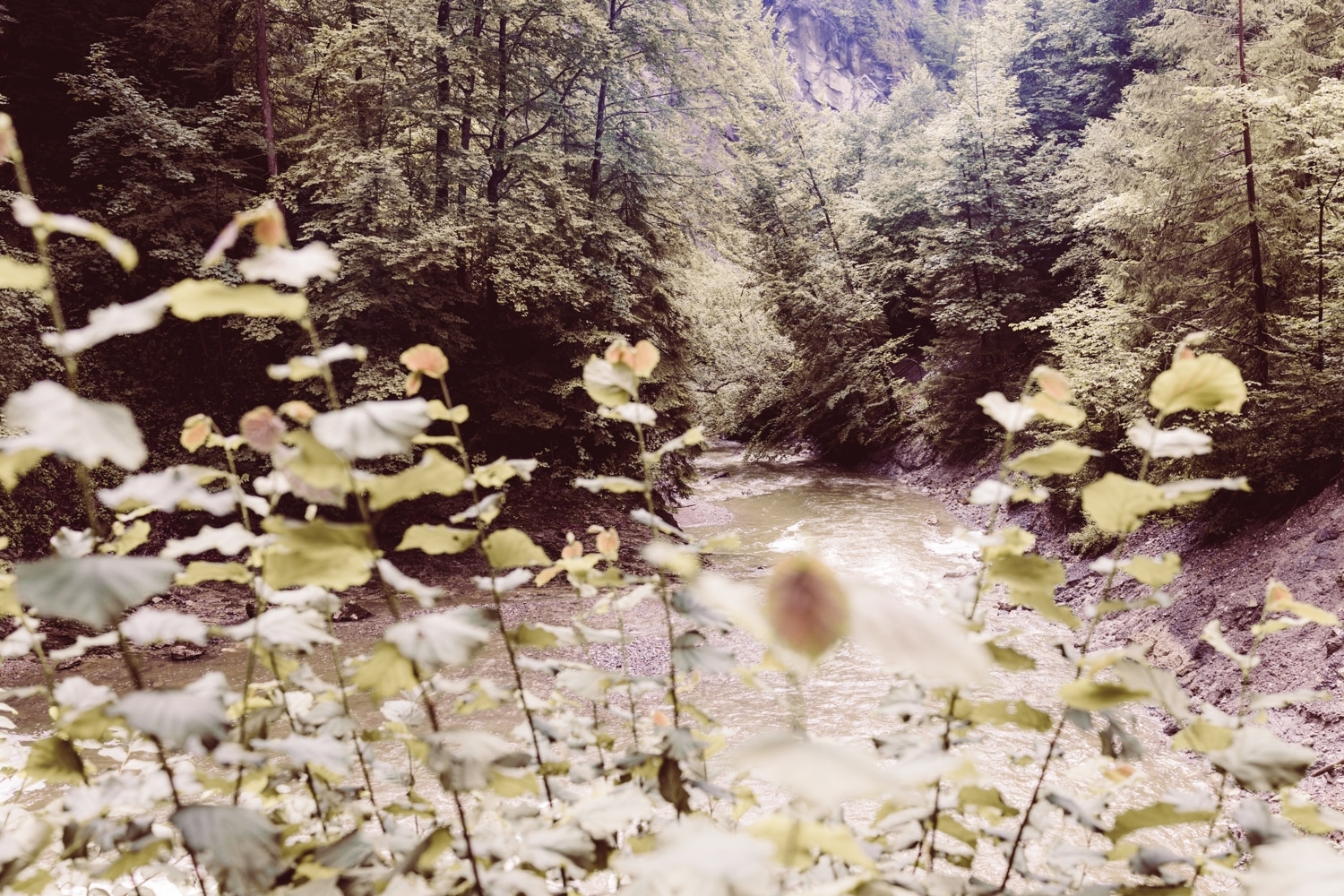 Hochzeitsfotografin_Sonthofen_Allg&auml;u_Elopement_Heiratenzuzweit_58
