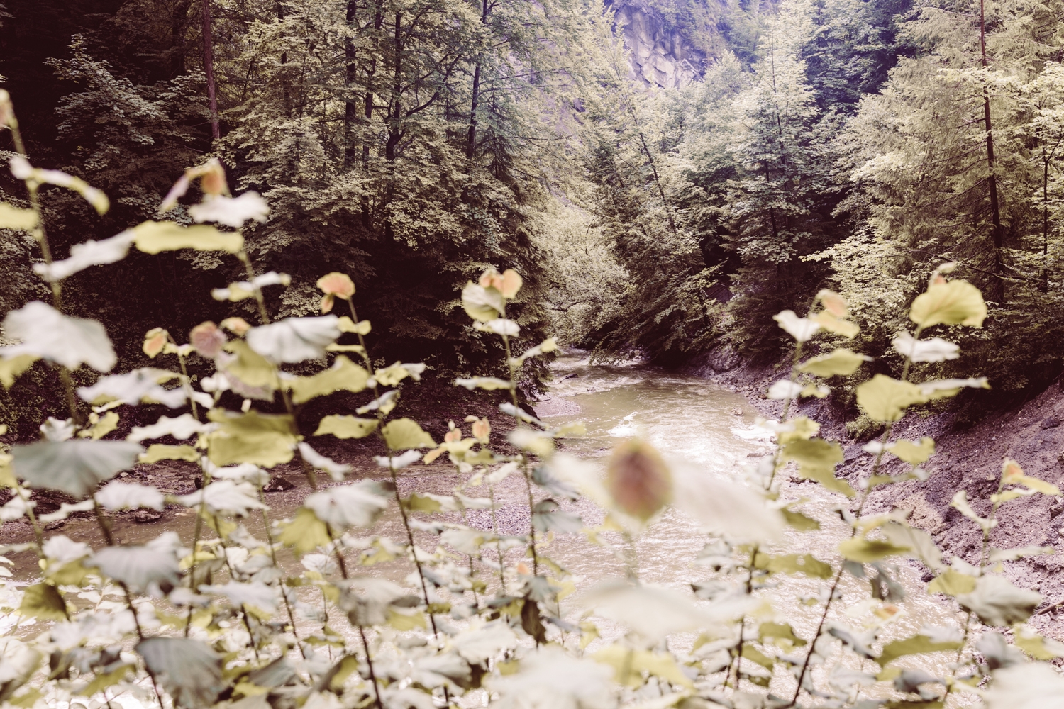 Hochzeitsfotografin_Sonthofen_Allgäu_Elopement_Heiratenzuzweit_58