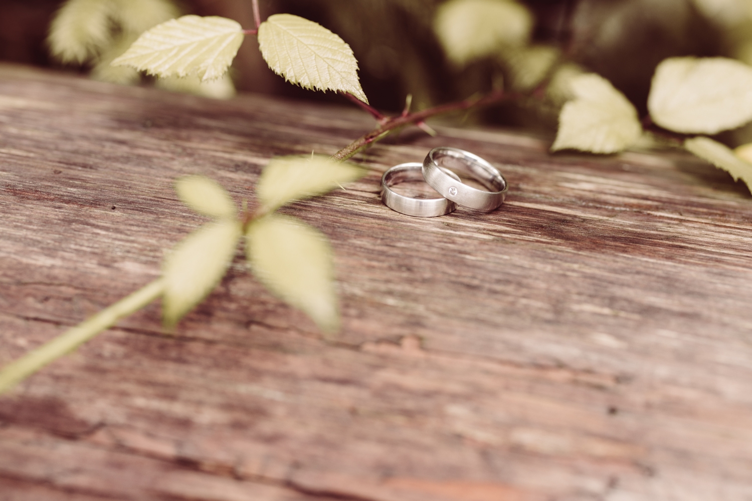 Hochzeitsfotografin_Sonthofen_Allgäu_Elopement_Heiratenzuzweit_78