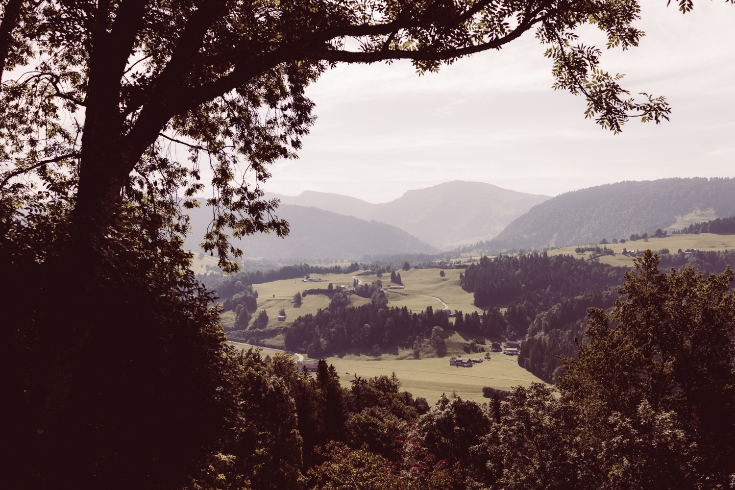 Hochzeitsfotografin_Oberstaufen_Hochzeitsfotografie_Oberallgäu_13