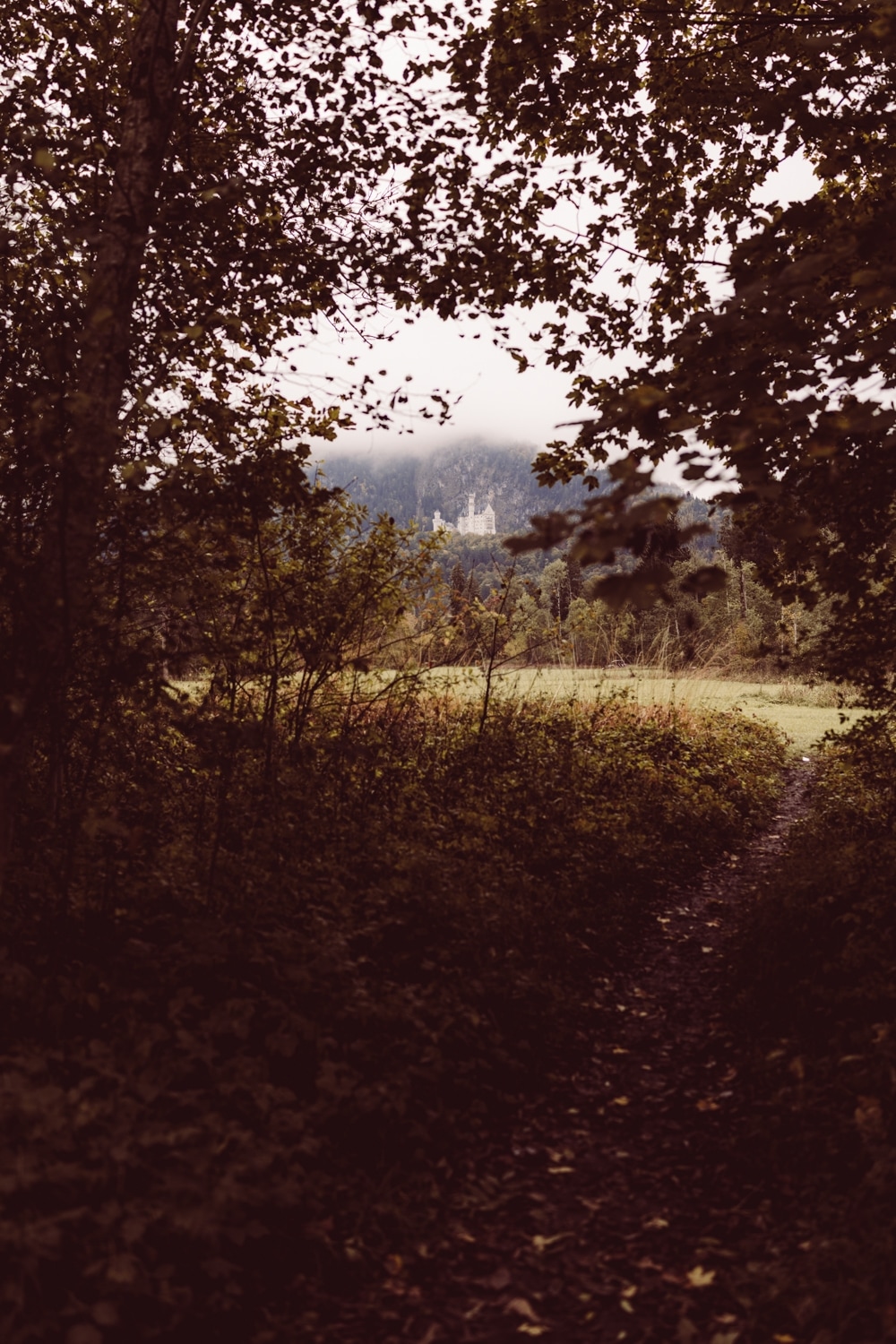 Hochzeitsfotografin_F&uuml;ssen_Heiraten-zu-zweit_Elopement_Alatsee_-97