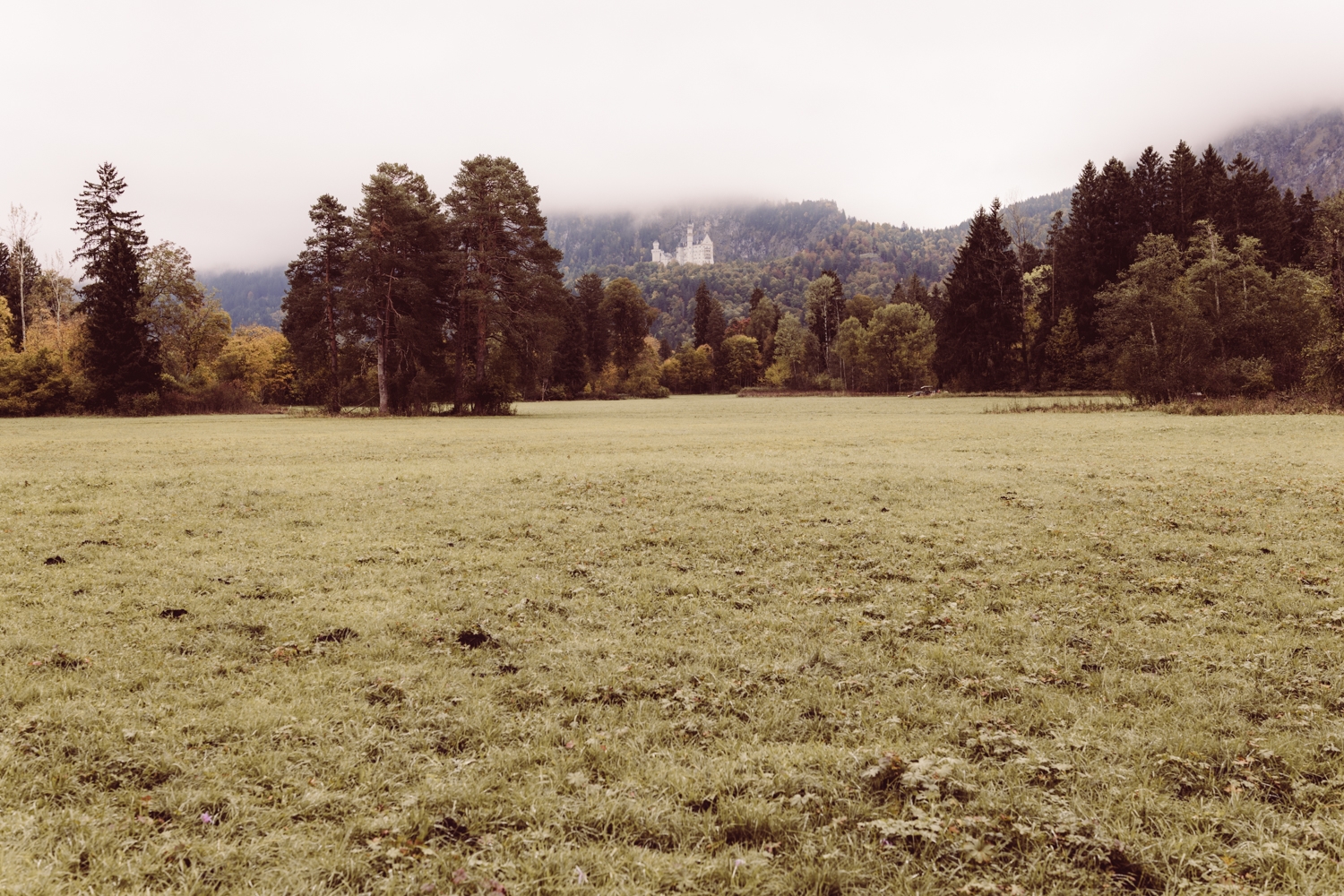 Hochzeitsfotografin_Füssen_Heiraten-zu-zweit_Elopement_Alatsee_-61 Hochzeitsfotografin_Füssen_Heiraten-zu-zweit_Elopement_Alatsee_-61