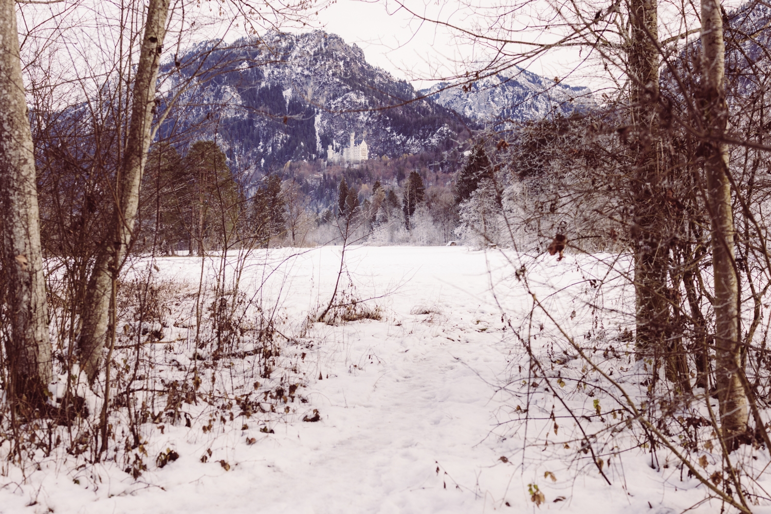 Fotografin_Intime_Winterhochzeit_Allgäu-75