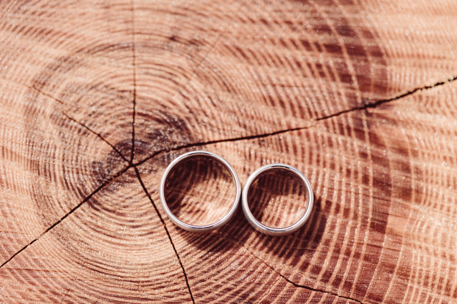 Hochzeitsfotografie_Oberstaufen_Heiraten-zu-zweit_Elopement_-58