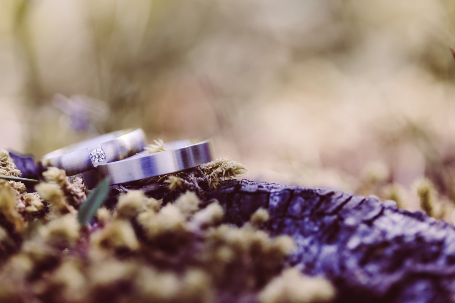 Hochzeitsfotografin_Vilsalpsee_Elopement_Tannheim-66