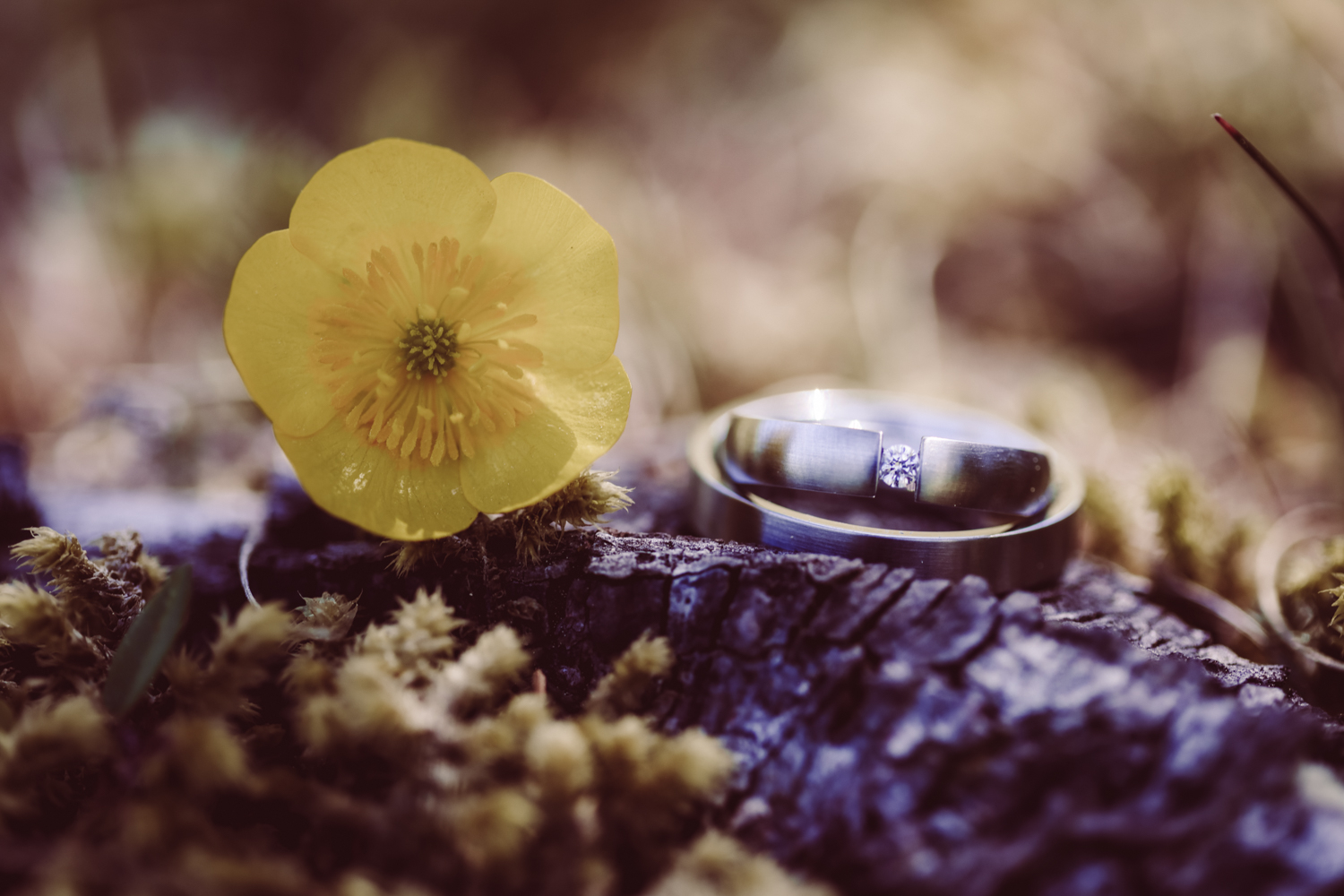 Hochzeitsfotografin_Vilsalpsee_Elopement_Tannheim-67