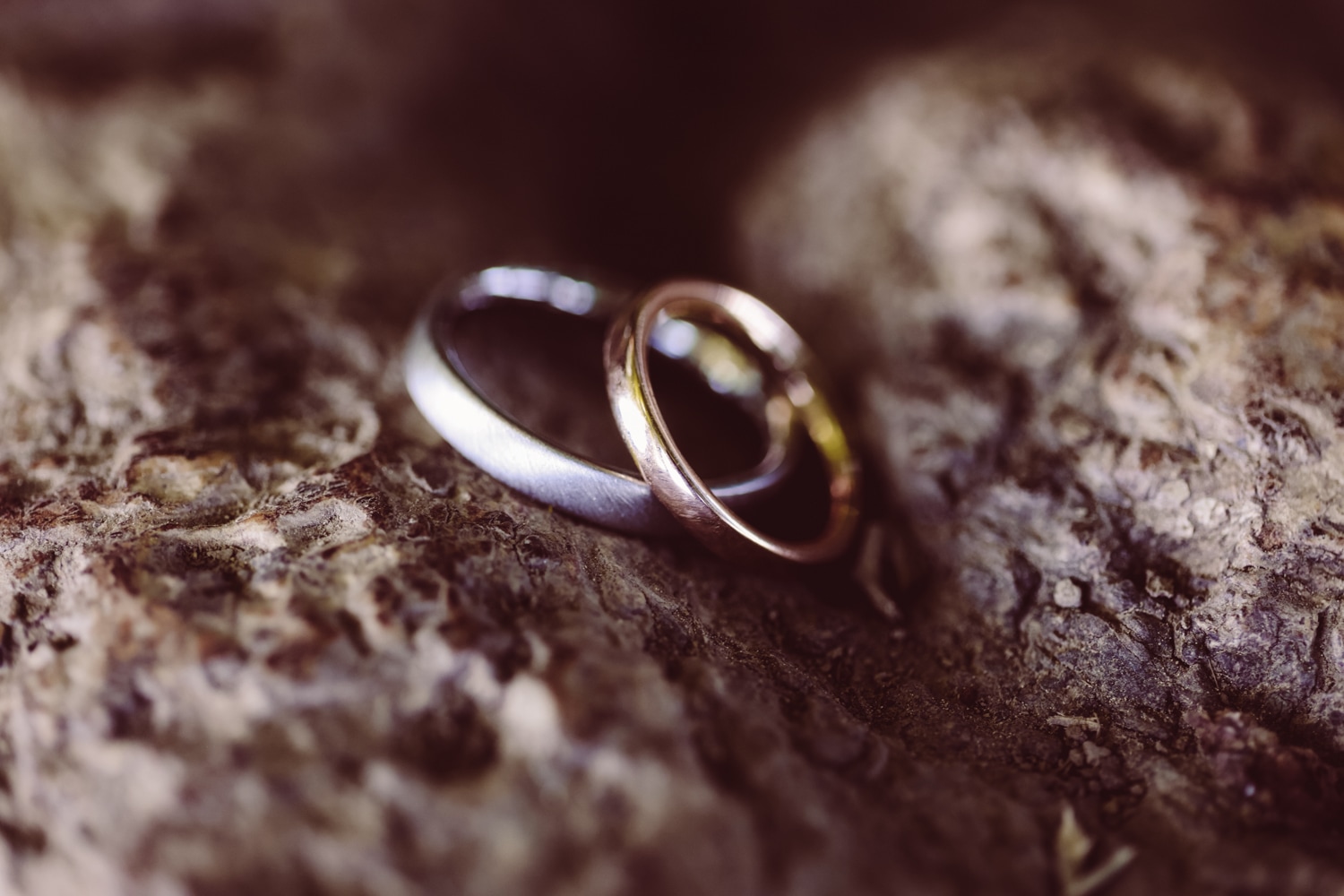 Hochzeit_zu-zweit_Ofterschwang_Immenstadt_Allg&auml;u-Elopement-140