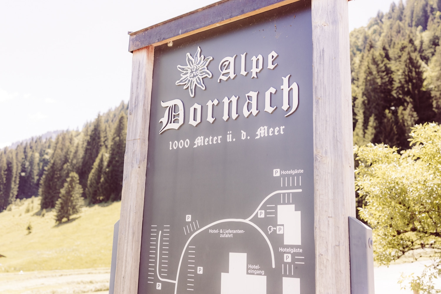 Intimes_Elopement_Oberstdorf_Berghochzeit_Fotografin-67