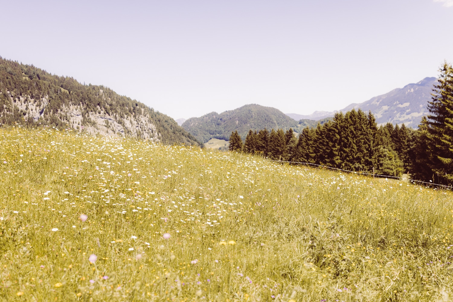 Intimes_Elopement_Oberstdorf_Berghochzeit_Fotografin-68