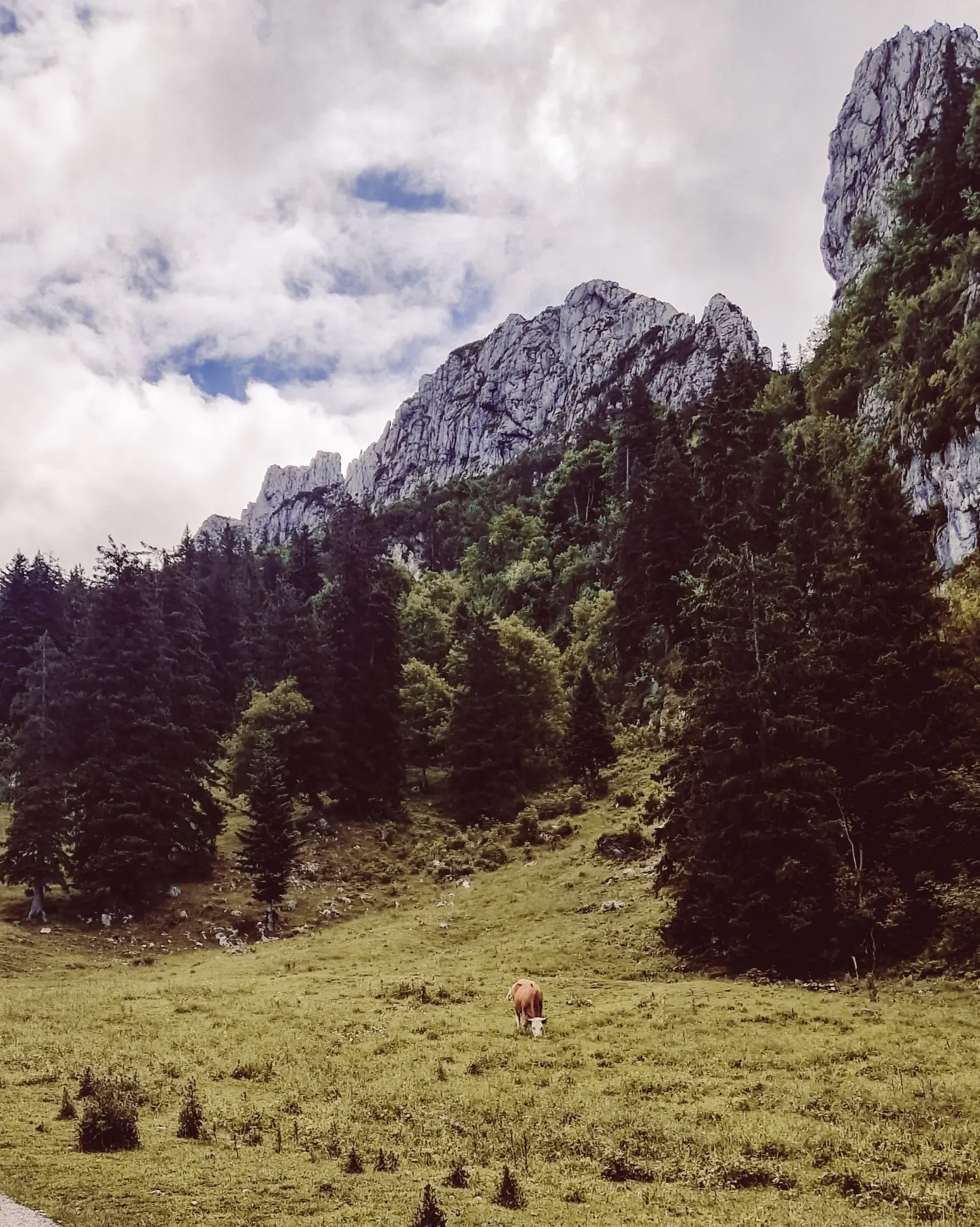 Standesamtlich heiraten Kampenwand Aschau Fotografin 3